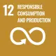 Goal 12: SDG 12 - Responsible Consumption and Production