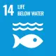 Goal 14: SDG 14 - Life Below Water