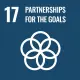 Goal 17: SDG 17 - Partnerships for the Goals